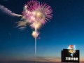 信息咨询服务市场洞察，新兴精英们开启破题之旅